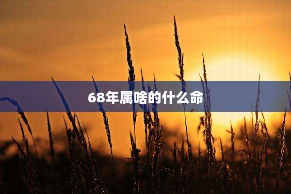 68年属啥的什么命