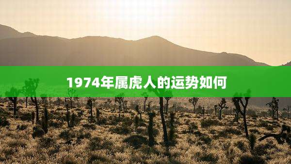 1974年属虎人的运势如何