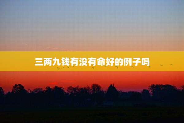 三两九钱有没有命好的例子吗