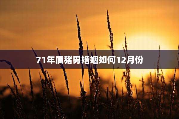 71年属猪男婚姻如何12月份