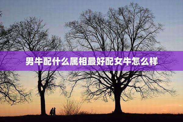 男牛配什么属相最好配女牛怎么样