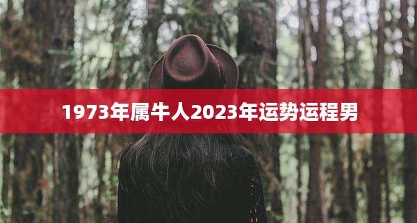 1973年属牛人2023年运势运程男