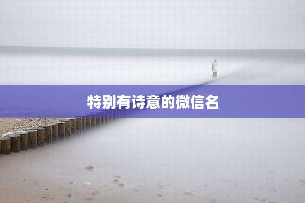 特别有诗意的微信名