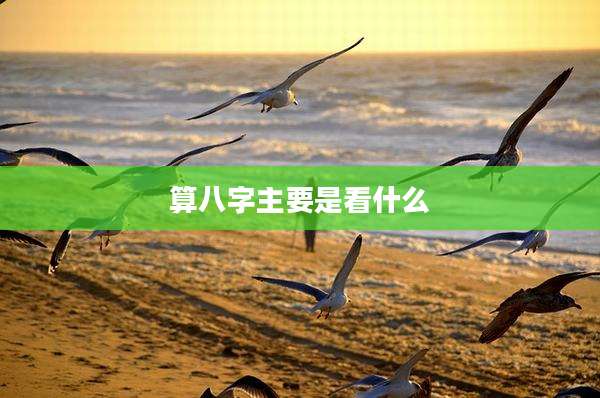 算八字主要是看什么