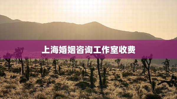 上海婚姻咨询工作室收费