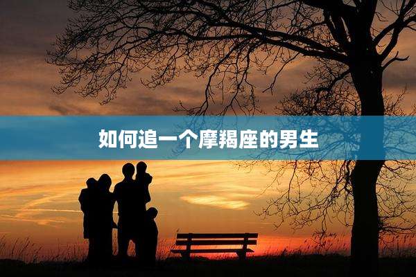如何追一个摩羯座的男生