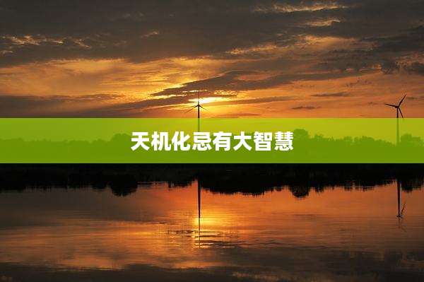 天机化忌有大智慧