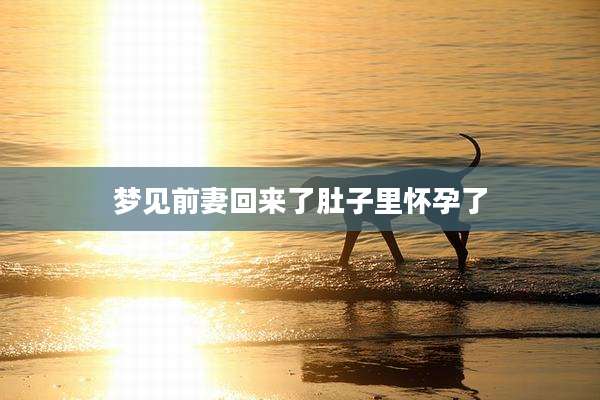 梦见前妻回来了肚子里怀孕了