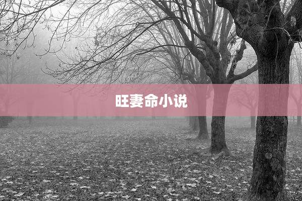 旺妻命小说