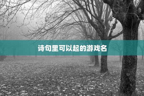 诗句里可以起的游戏名