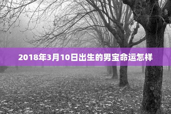 2018年3月10日出生的男宝命运怎样