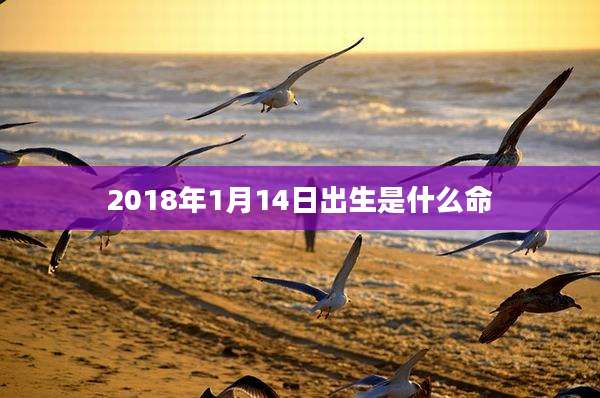 2018年1月14日出生是什么命