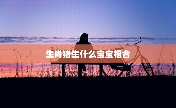 生肖猪生什么宝宝相合