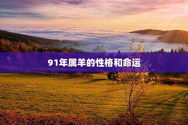 91年属羊的性格和命运
