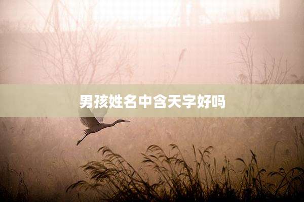 男孩姓名中含天字好吗