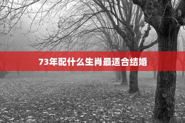 73年配什么生肖最适合结婚