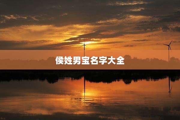 侯姓男宝名字大全