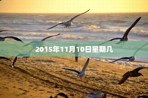 2015年11月10日星期几
