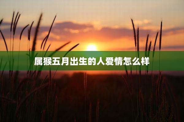 属猴五月出生的人爱情怎么样