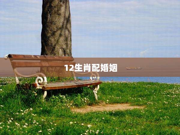 12生肖配婚姻
