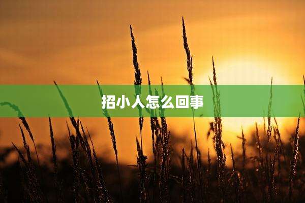 招小人怎么回事