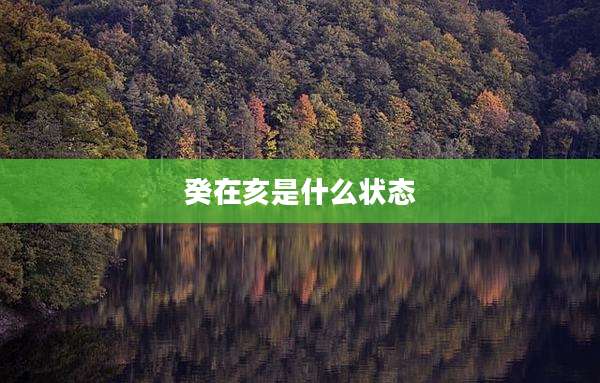 癸在亥是什么状态