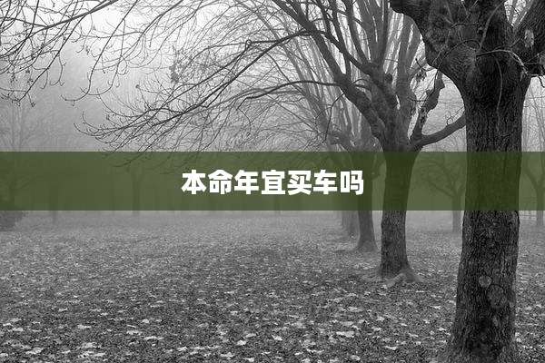 本命年宜买车吗