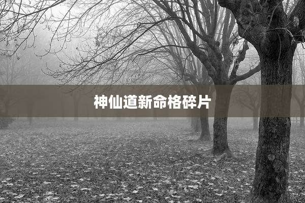 神仙道新命格碎片