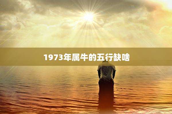 1973年属牛的五行缺啥