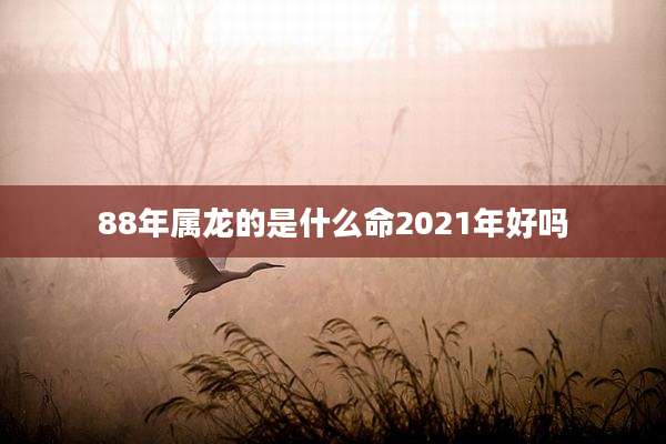 88年属龙的是什么命2021年好吗