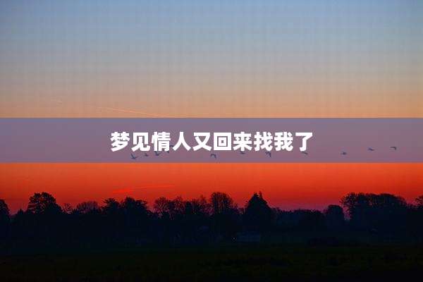 梦见情人又回来找我了