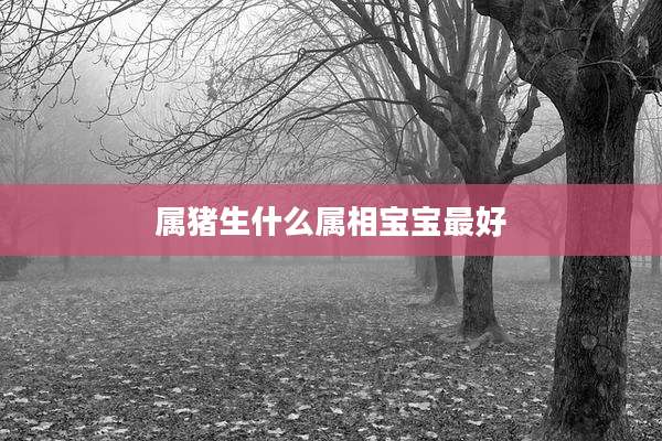 属猪生什么属相宝宝最好