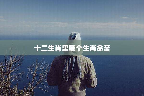 十二生肖里哪个生肖命苦