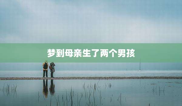 梦到母亲生了两个男孩