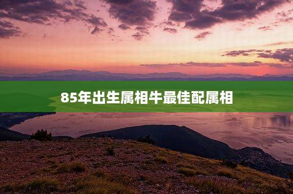 85年出生属相牛最佳配属相