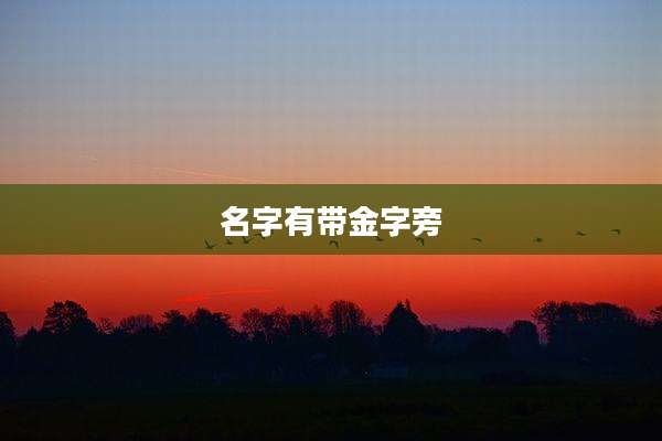名字有带金字旁