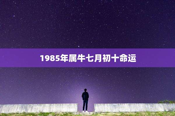1985年属牛七月初十命运