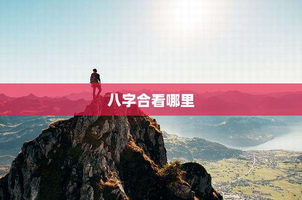 八字合看哪里