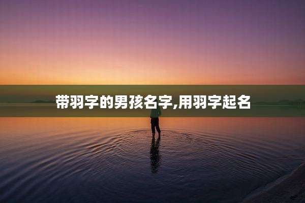 带羽字的男孩名字,用羽字起名