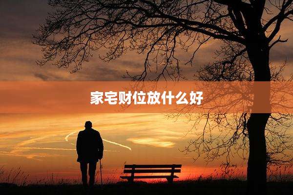 家宅财位放什么好
