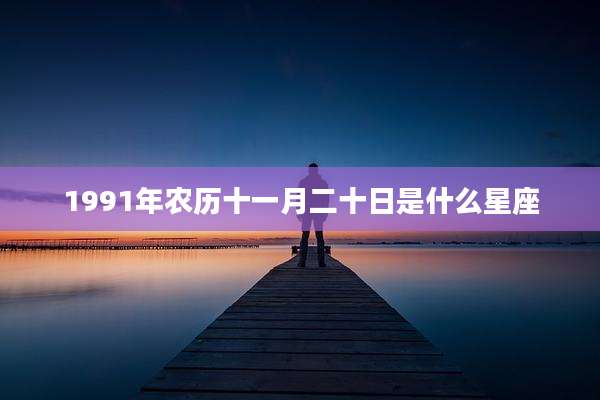 1991年农历十一月二十日是什么星座