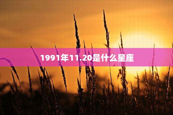 1991年11.20是什么星座