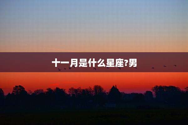 十一月是什么星座?男