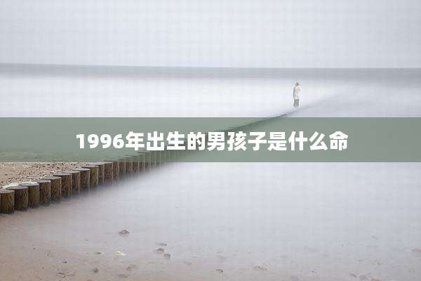 1996年出生的男孩子是什么命