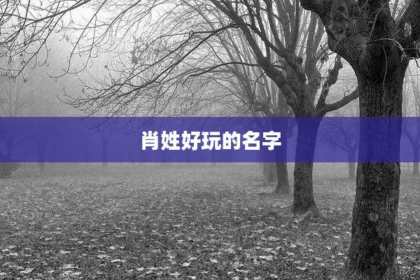 肖姓好玩的名字
