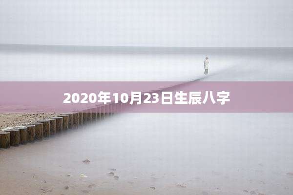 2020年10月23日生辰八字