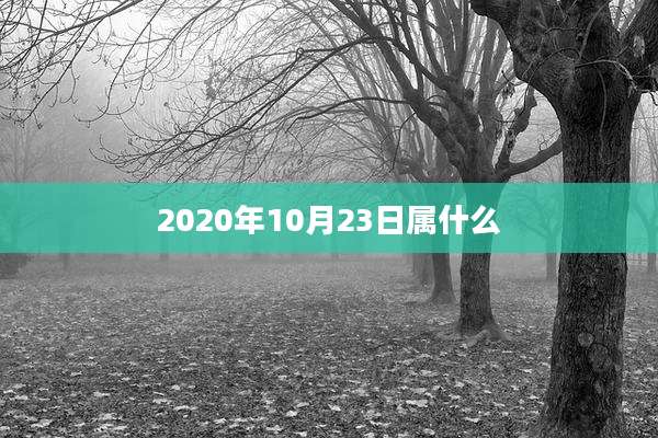 2020年10月23日属什么