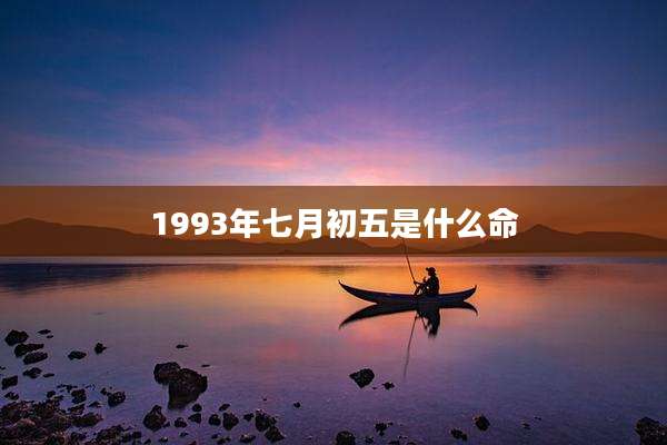 1993年七月初五是什么命