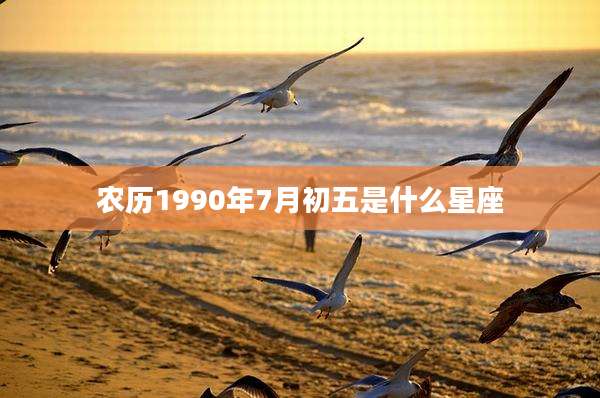 农历1990年7月初五是什么星座