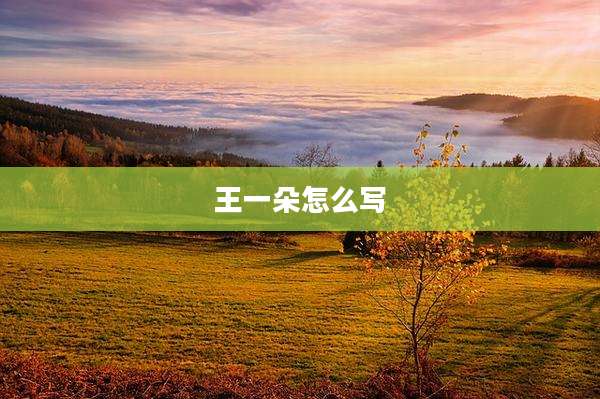 王一朵怎么写